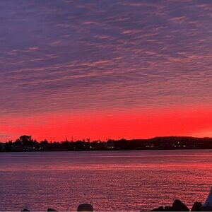 Meet your Posher, Lynn